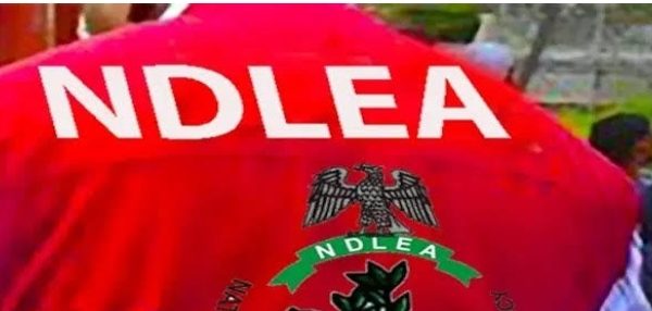 NDLEA, Foreign Agencies Bust Alleged Multi-Billion Naira Drug Money Laundering Network
